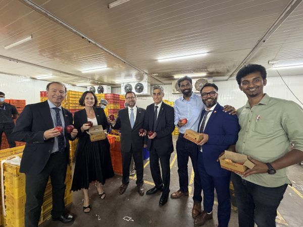 Imagen de portada - Indian Agribusiness Company to Increase Imports of Chilean Fresh Produce