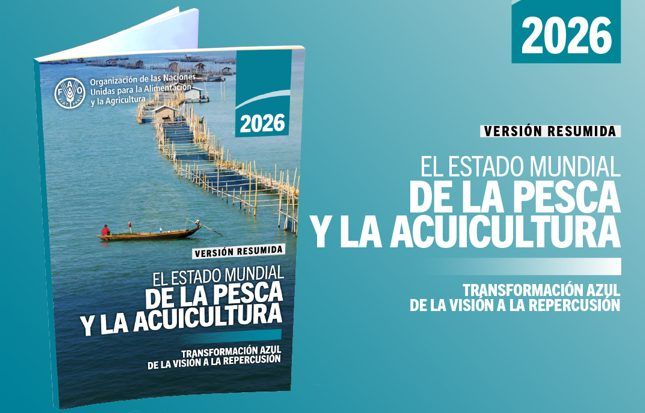 Imagen de portada - Latin America Accounts for 15% of Global Fisheries and Aquaculture Exports