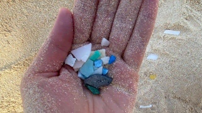 Imagen de portada - Los microplásticos podrían afectar la capacidad del océano para absorber carbono
