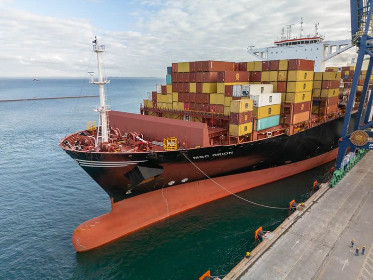 Imagen de portada - Port of Salvador Moves 115,876 Tons of Cotton with 12% Growth in H1 2026