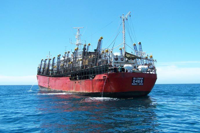 El Consejo Federal Pesquero aprobó 18 nuevos proyectos para la captura de calamar y reasignó reservas de merluza