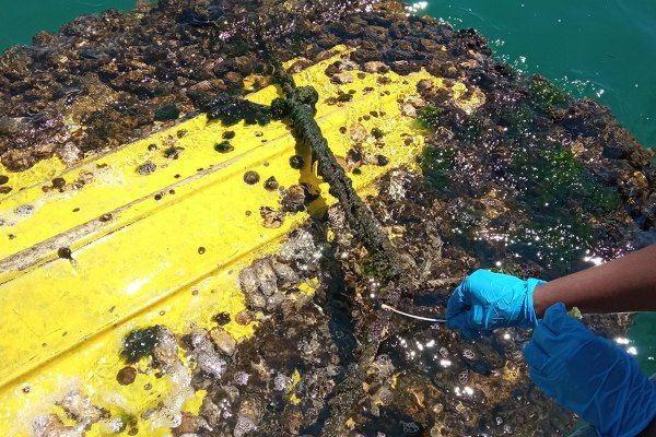 Imagen de portada - Project in Valencia Transforms Port Waste into Sustainable Solutions to Protect Vessels