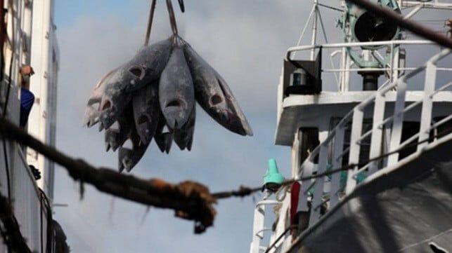 Imagen de portada - Protección Oceánica Más Allá de los Porcentajes: El Desafío 30x30