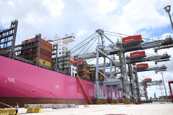 Imagen de portada - TCP-Nelsury resumes operations at Cuenca del Plata Terminal after surprise strike