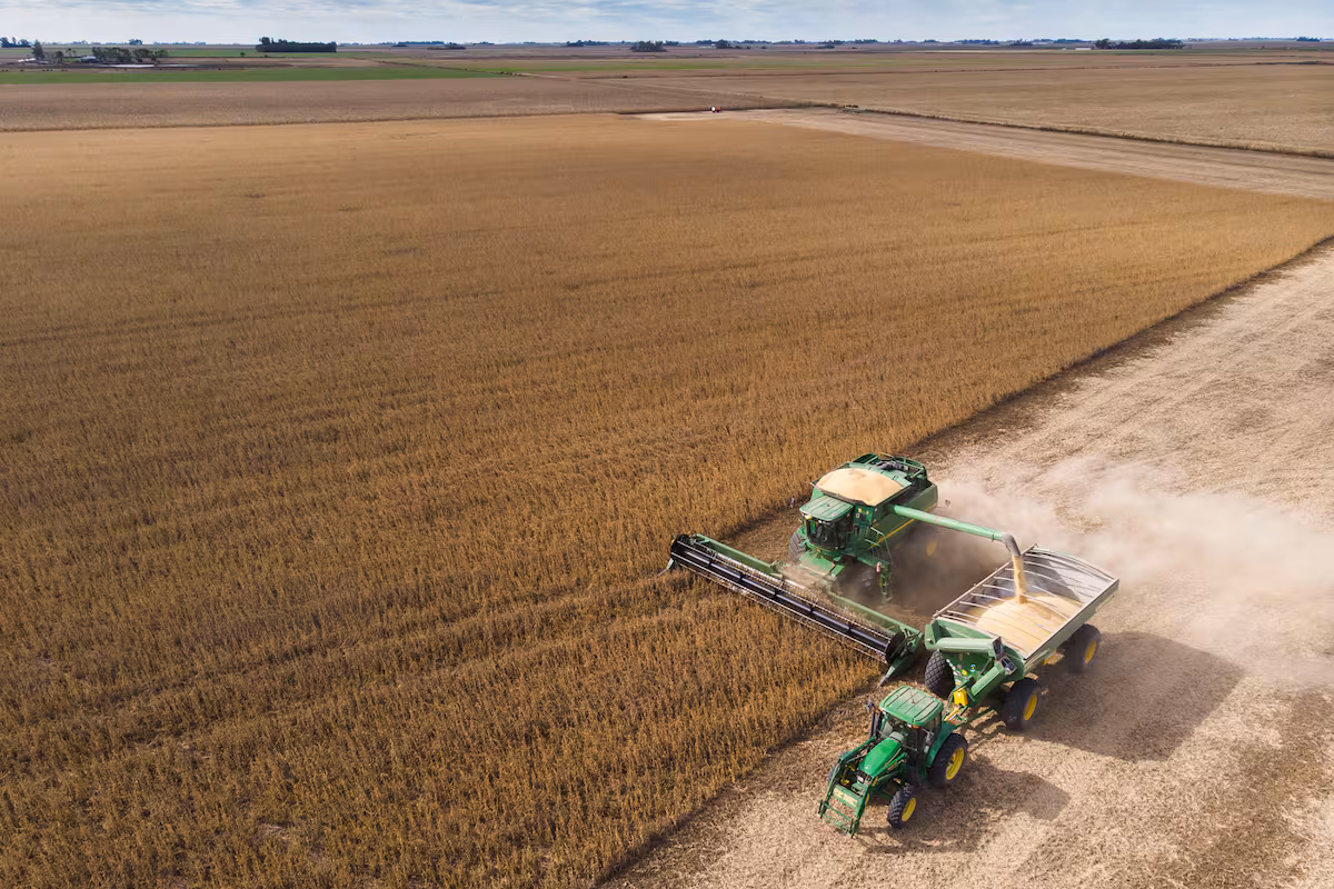 Evolución de la productividad agrícola en Argentina: Un análisis basado en datos del BID