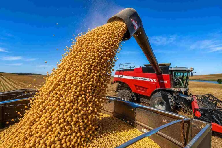El índice de actividad de la cadena agropecuaria creció 0,2% en julio y se ubicó 12% por encima de 2025
