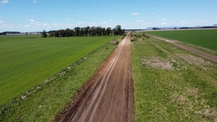 Un relevamiento sectorial advierte que el deterioro de los caminos rurales provoca pérdidas económicas a siete de cada diez productores