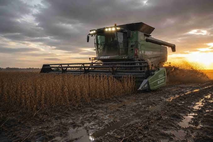 La campaña de soja 2025/26 cerró con un rendimiento nacional un 21% superior al promedio histórico y récords en el NOA y Norte de La Pampa