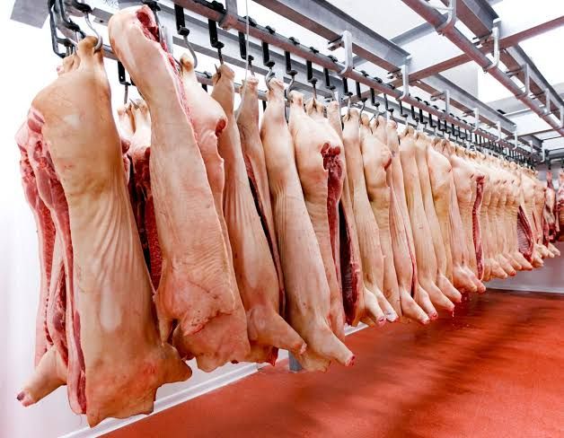 El valor de las exportaciones porcinas registró un incremento del 156,8% durante los primeros cinco meses del año