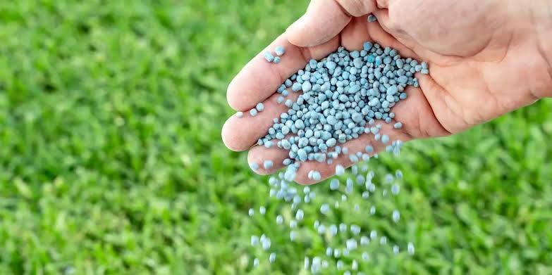 Alivio para el trigo y el maíz: llegan importaciones de urea con valores similares a los previos a la guerra