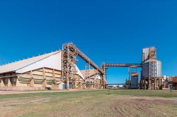 El uso de la capacidad instalada de molienda paso del 76% al 90% en mayo, impulsado por la importación temporaria de soja paraguaya
