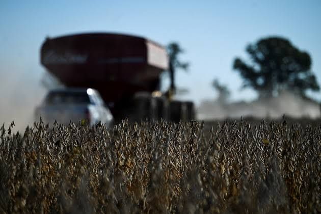 La Bolsa de Cereales proyecta 17 millones de hectáreas de soja para la campaña 2026/27