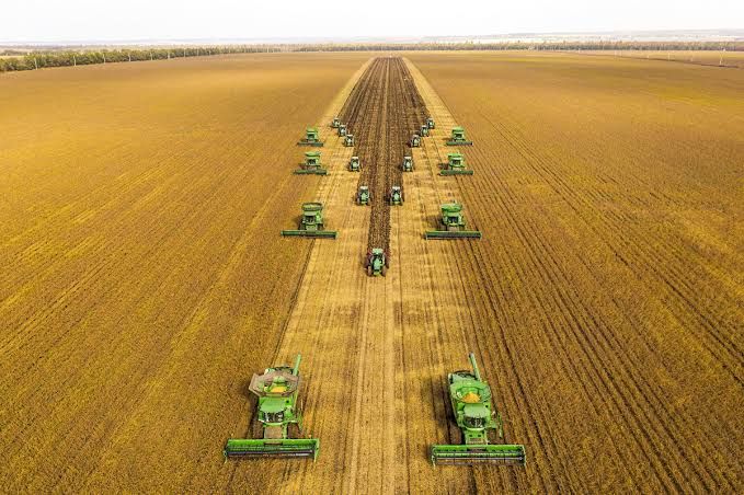 El acuerdo entre China y Estados Unidos dejó afuera al poroto de soja