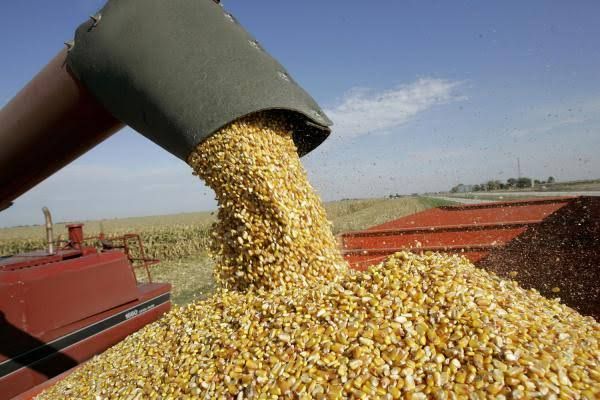 La Bolsa de Cereales lanza la capacitación "Recepción de granos 360°" para optimizar la toma de decisiones en poscosecha