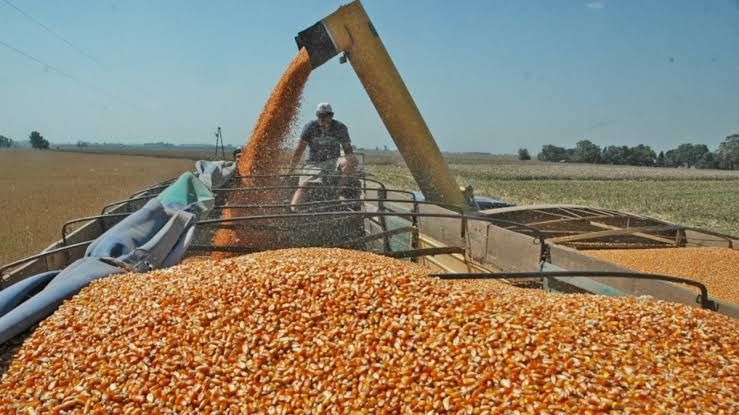 La liquidación del agro sumó US$ 3.007 millones en junio y acumula US$ 13.378 millones en el año