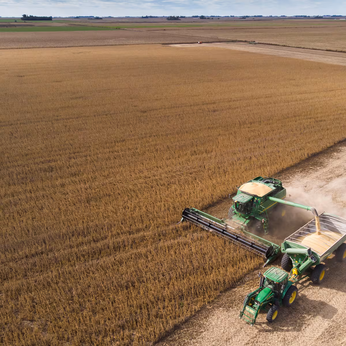 La soja y el maíz abrieron la semana al alza en Chicago, impulsados por demanda exportadora y licitaciones asiáticas, mientras el trigo operó en torno a la neutralidad