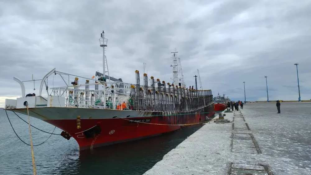Un potero descargó 735 toneladas de calamar en el puerto de Comodoro Rivadavia