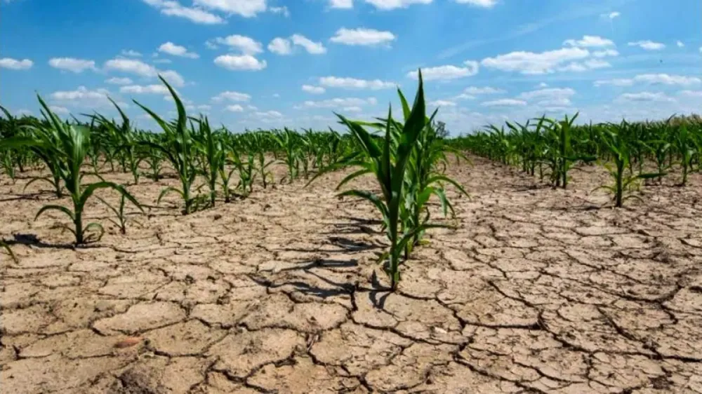 La sequía de enero recorta en 3 millones de toneladas la cosecha gruesa en Córdoba