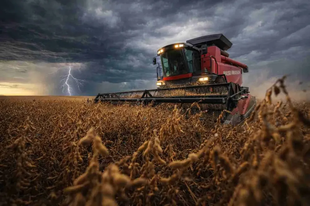 Crecen las probabilidades de El Niño para la próxima campaña agrícola