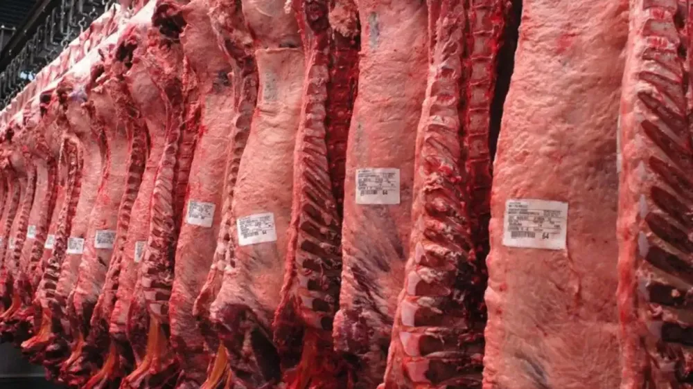 La faena vacuna cayó 15,3% interanual en abril y las exportaciones superaron los 1.000 millones de dólares en el primer trimestre