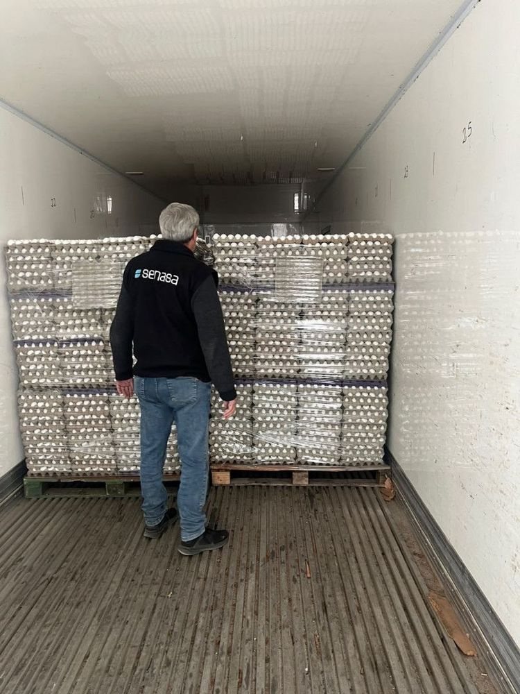 Tucumán: SENASA evitó la comercialización de más de 5 toneladas de carne y 300.000 huevos irregulares