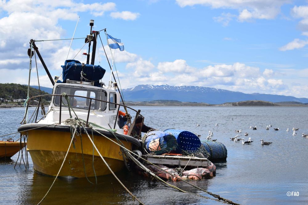 La representación de la FAO en Argentina celebra la sanción de la ley de adhesión del país al Acuerdo de Puerto Rector