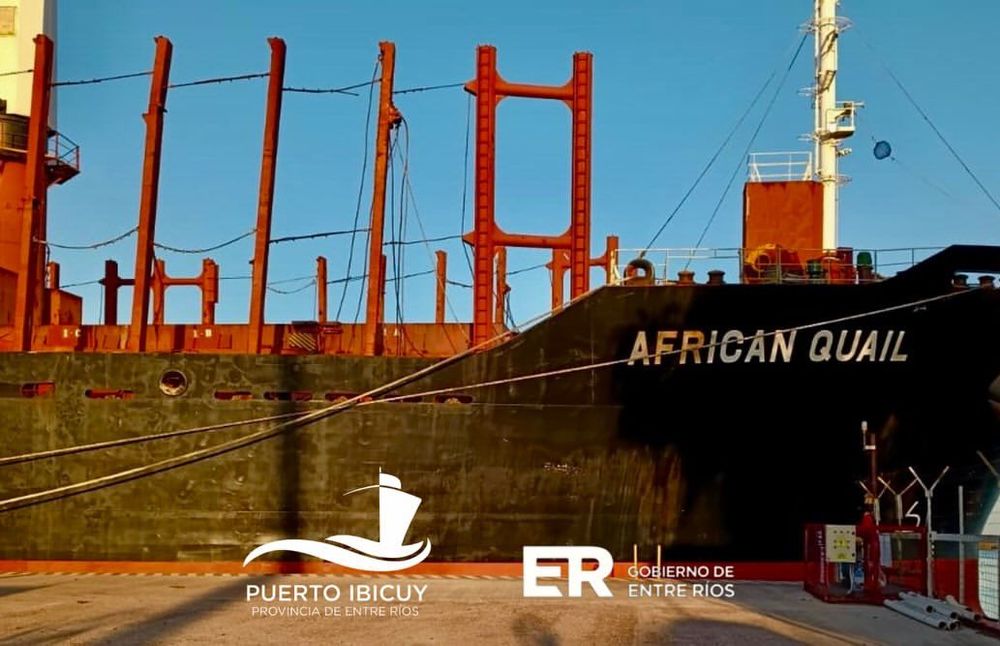 El African Quail amarró en Ibicuy con 20.200 toneladas de madera de pino