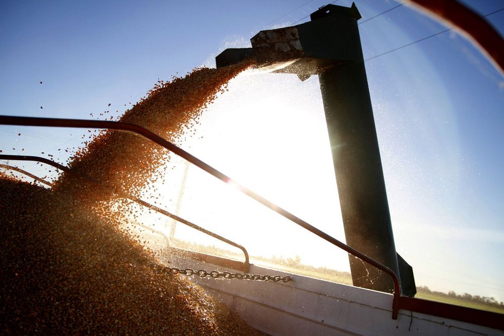 Imagen de portada - Agro-industrial Exports Reach Historic High in August with 13.1 Million Tons
