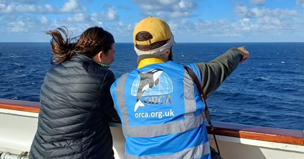 Imagen de portada - Ambassador apoya el programa gratuito de formación en conservación marina de ORCA