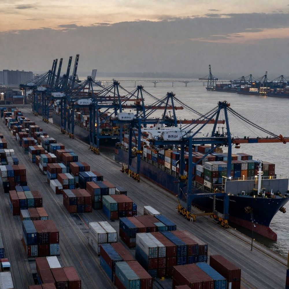 Imagen de portada - Calamasur y Conxemar impulsan futuro sostenible del calamar gigante en el Pacífico sur