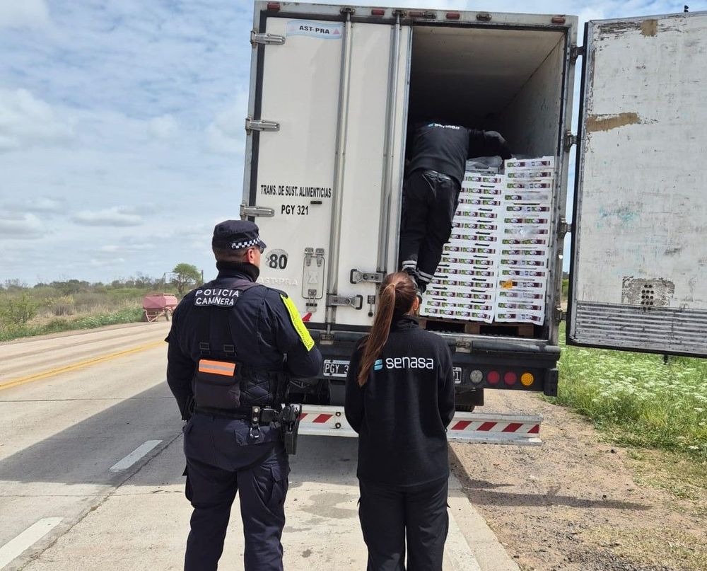 Imagen de portada - Chaco: Trade of over 30 tons of fresh fruit transported without documentation prevented