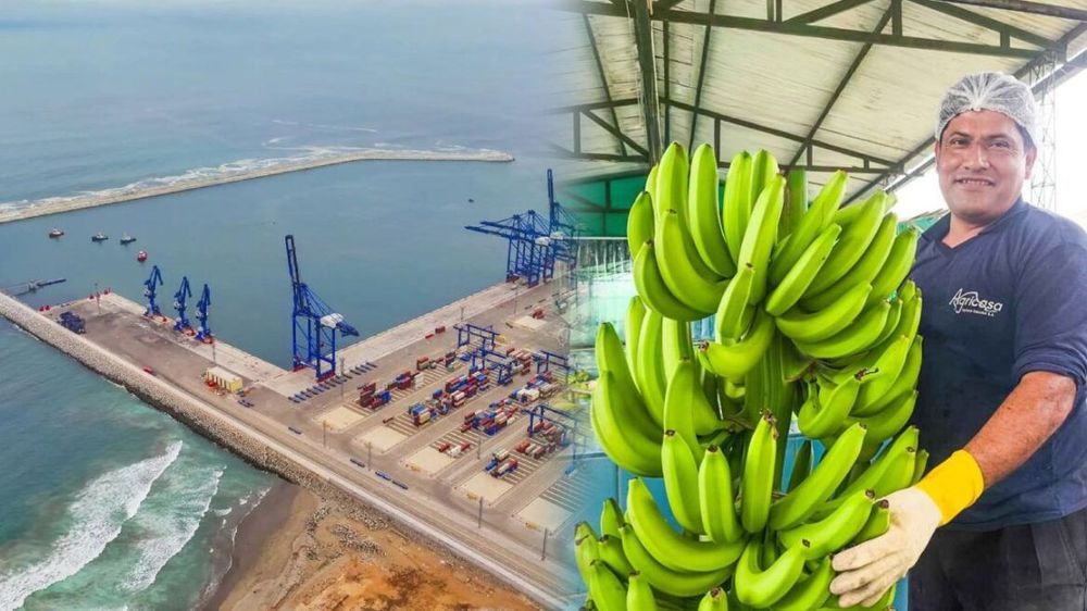 Imagen de portada - Chancay Exports First Peruvian Bananas to China with Cost Reduction