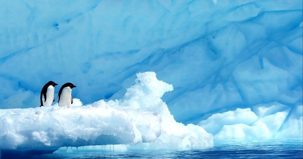 Imagen de portada - Cuatro expertos se unen a la expedición a la Antártida de Ponant en 2027 con Woods Hole