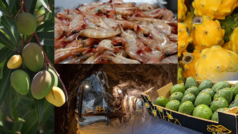 Imagen de portada - Ecuador's Exports Reach USD 23.289 Million in 2026