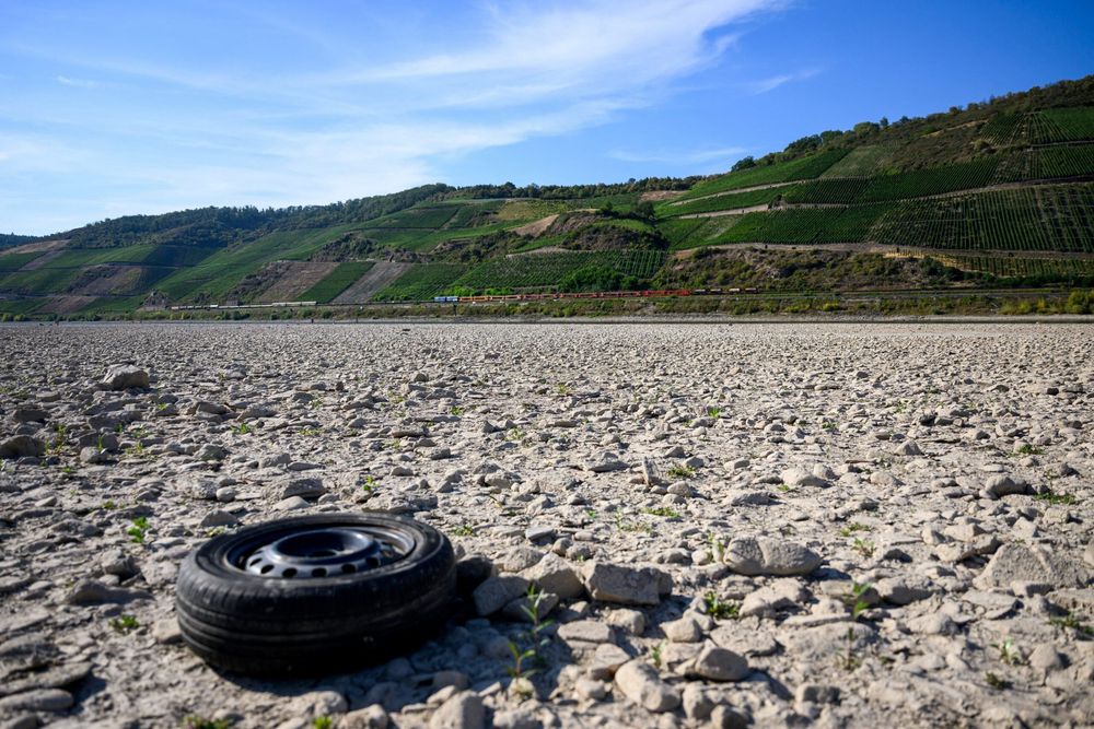 Imagen de portada - El río Rin alcanza un nivel de agua mínimo histórico, se esperan interrupciones