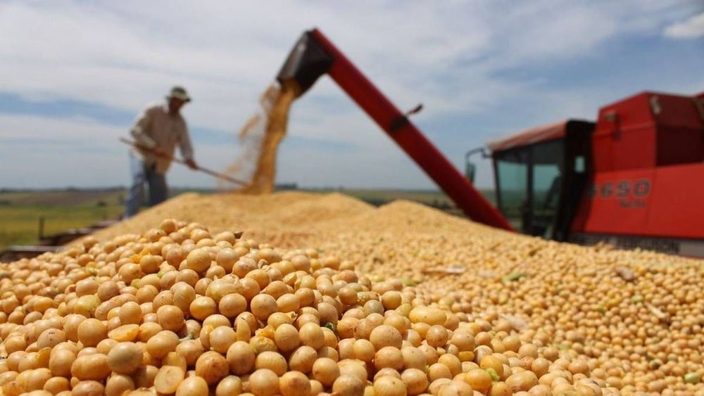 Formosa, entre Paraguay y la Hidrovía: cómo exporta su producción la provincia