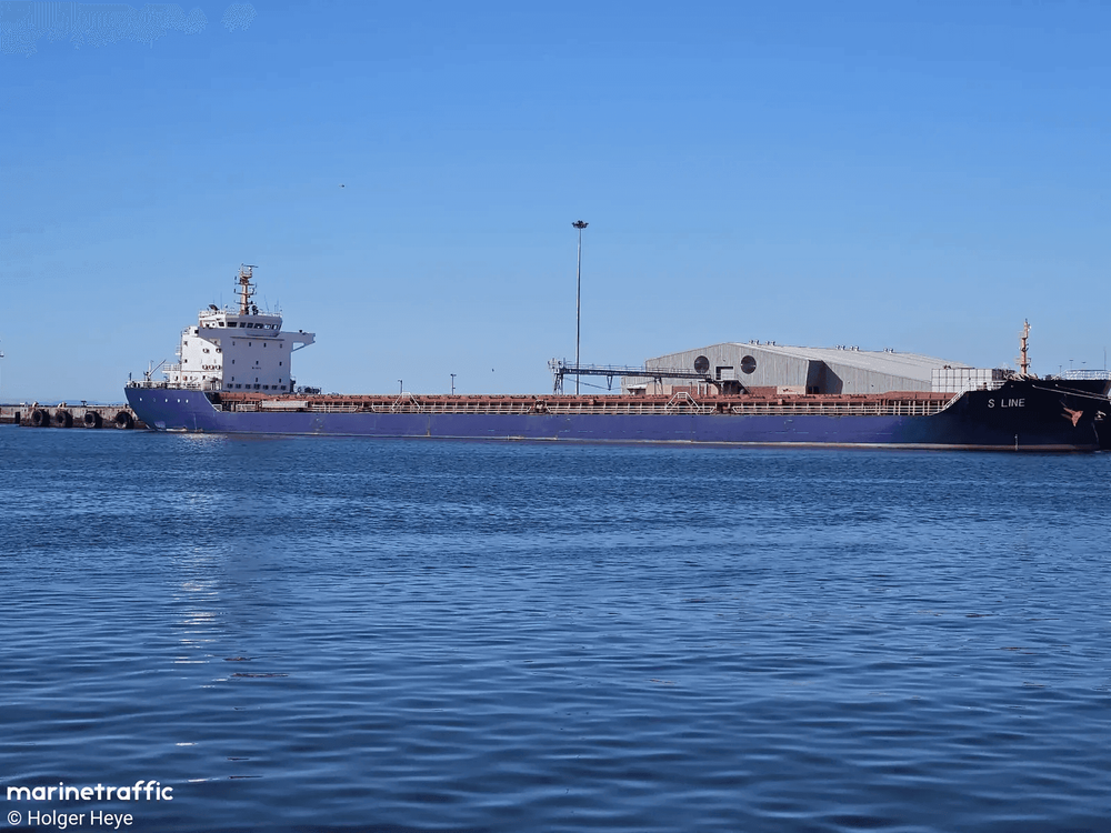 Imagen de portada - Granelero con bandera de Panamá Choca con Estructura Portuaria y Hunde Embarcaciones en el Danubio