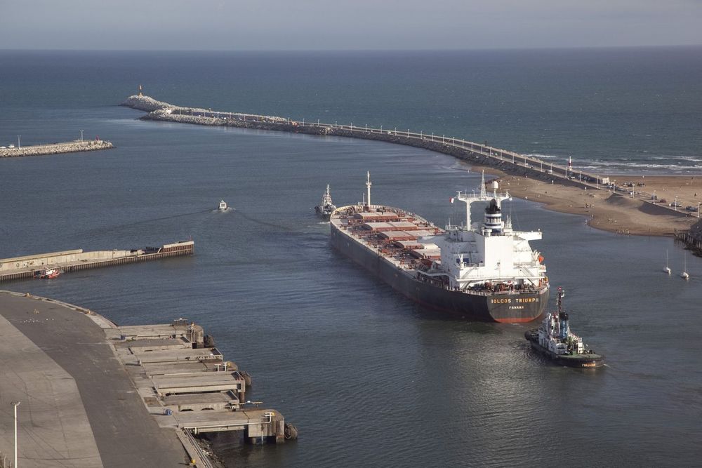 Imagen de portada - In the first half, 117 agro-industrial products reached a record in export value of USD 7,073 million