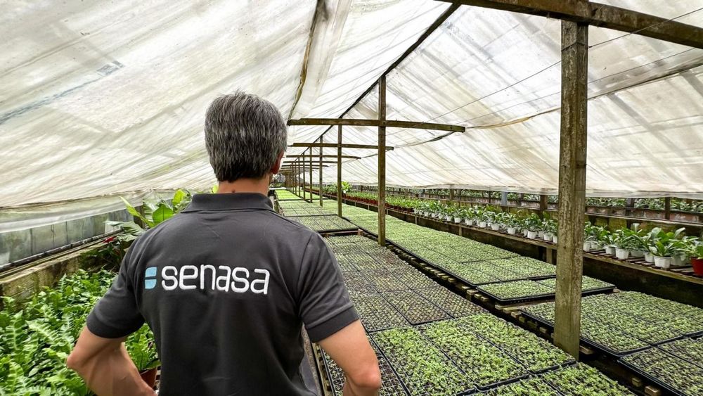 Imagen de portada - Information Session on Renfo and DTV-e for Nursery Growers in the Province of Buenos Aires