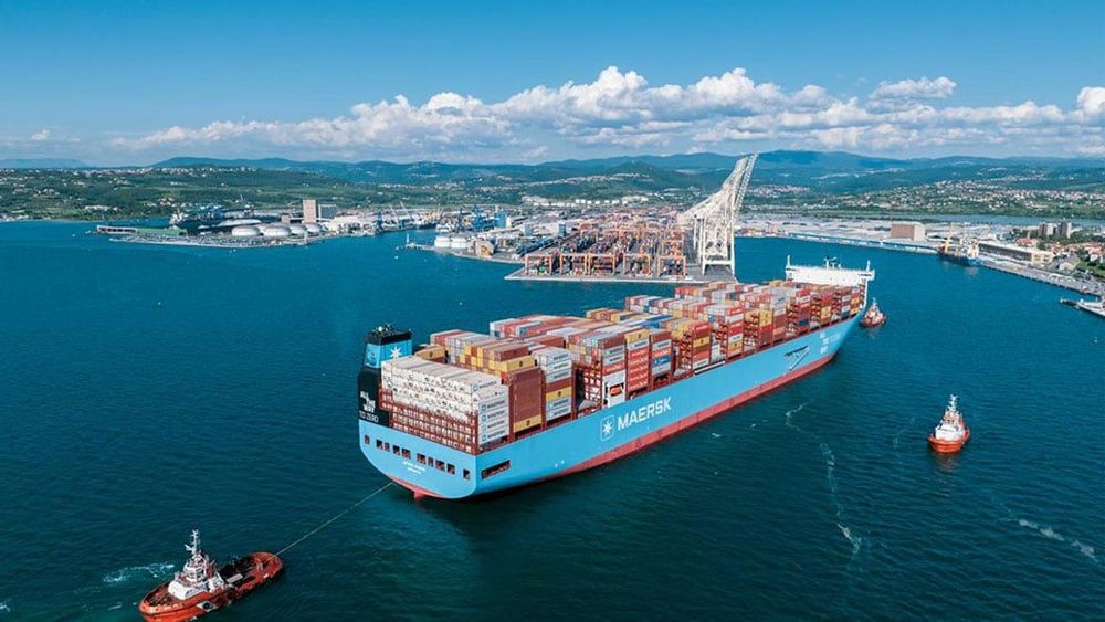 Imagen de portada - Maersk lanza un servicio semanal Adriático-Mediterráneo Oriental a través de Koper y Port Said