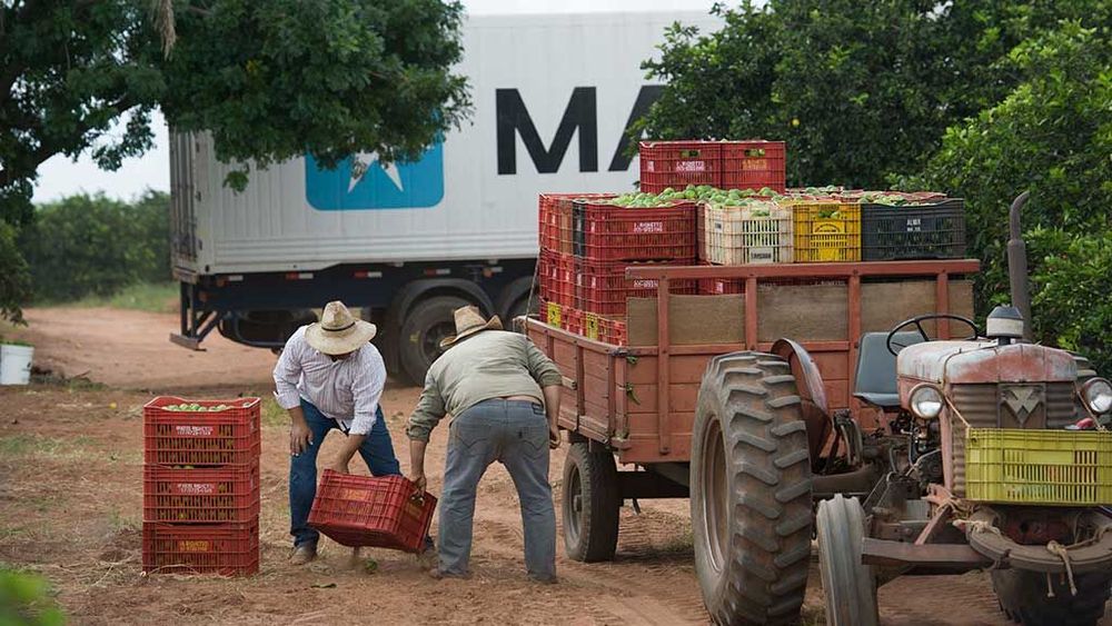Imagen de portada - Maersk presentará soluciones de logística de cadena de frío en Fruit Attraction 2026
