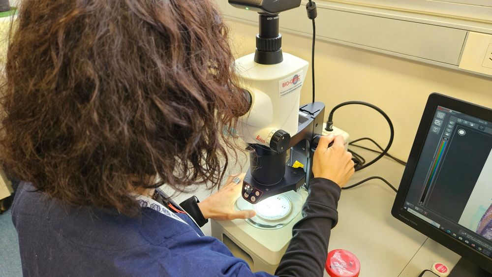 Imagen de portada - Nuevo portal Mi SENASA: Acceso online para consultar resultados de análisis de laboratorio