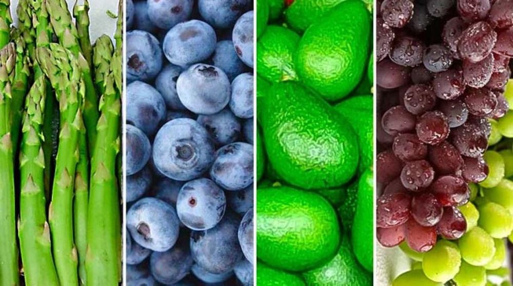 Imagen de portada - Peru Achieves 19 New Market Accesses for Agricultural Products in Four Months of 2026