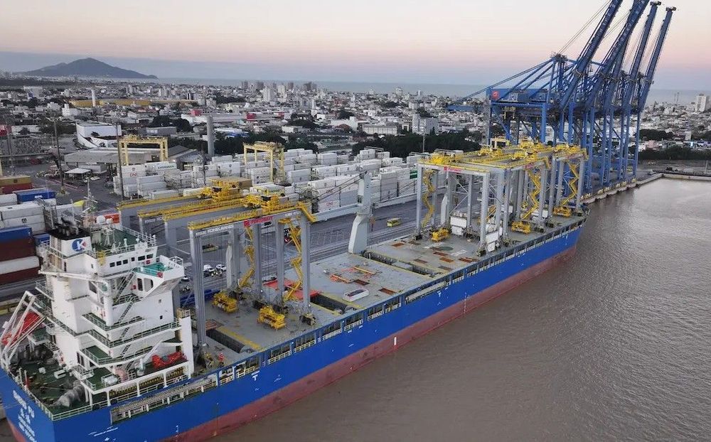 Imagen de portada - Portonave incorporates seven electric RTG cranes for USD 37.8 million
