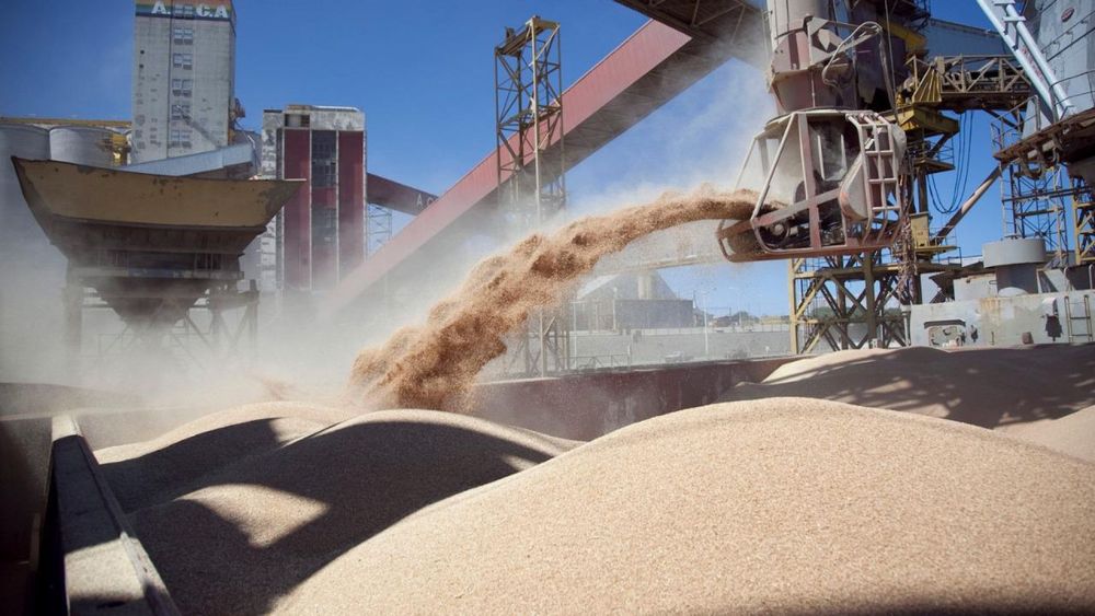 Imagen de portada - Registration for exporters of barley, wheat, soybean, sorghum, and corn grains to China