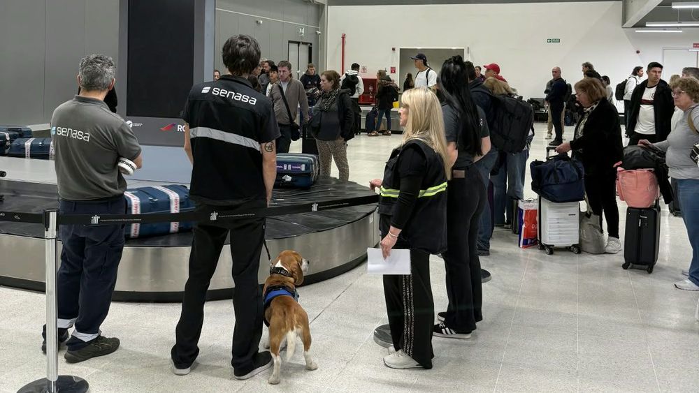 Imagen de portada - Reinforcement of Sanitary Controls at Rosario Airport for the South American Games