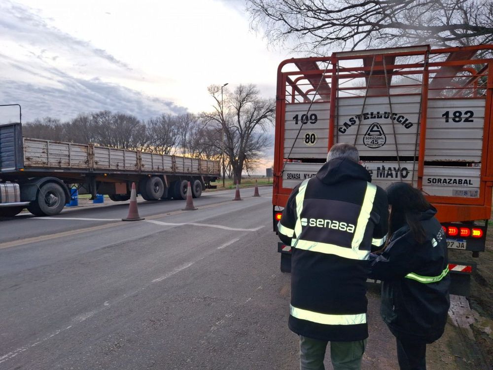 Imagen de portada - Road controls in the Province of San Luis will be strengthened with the National Gendarmerie