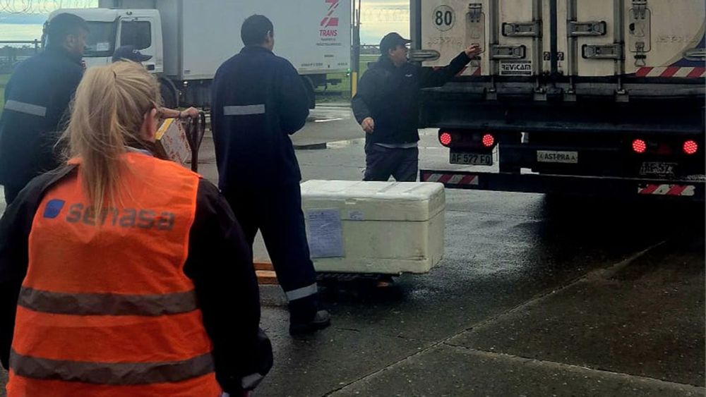Imagen de portada - Rosario: First Import Verified at “Islas Malvinas” International Airport