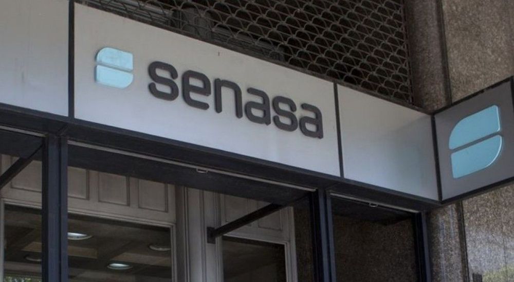Imagen de portada - Senasa Simplifies Authorizations for Exporting Products of Animal Origin in Argentina