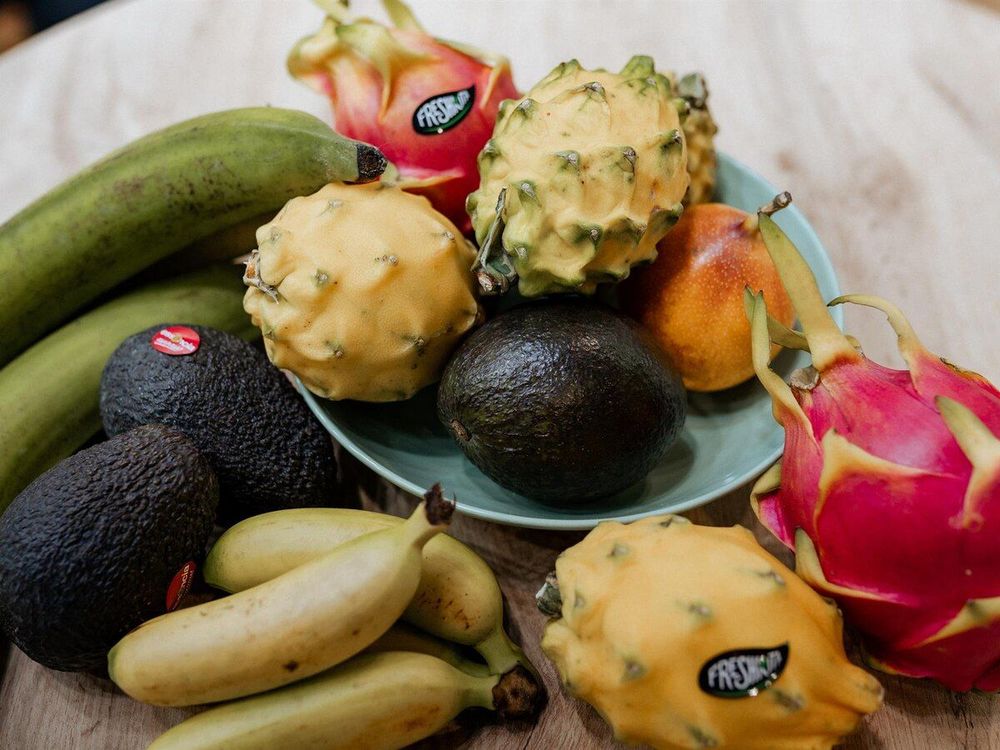 Imagen de portada - Spanish Company Strengthens Import of Ecuadorian Exotic Fruits to Europe
